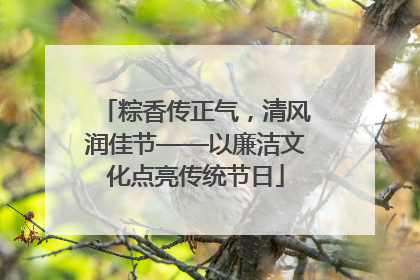 粽香传正气，清风润佳节——以廉洁文化点亮传统节日