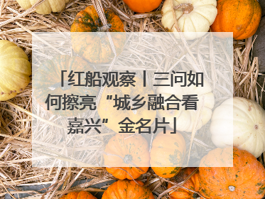 红船观察丨三问如何擦亮“城乡融合看嘉兴”金名片
