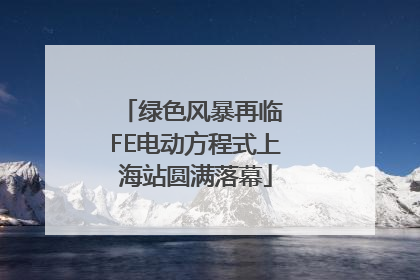 绿色风暴再临 FE电动方程式上海站圆满落幕