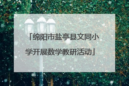 绵阳市盐亭县文同小学开展数学教研活动