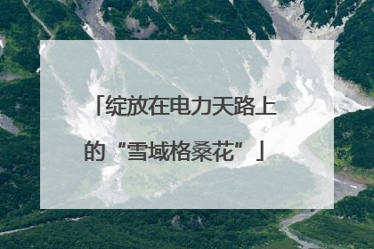 绽放在电力天路上的“雪域格桑花”