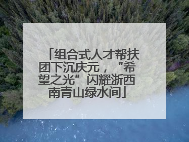 组合式人才帮扶团下沉庆元，“希望之光”闪耀浙西南青山绿水间