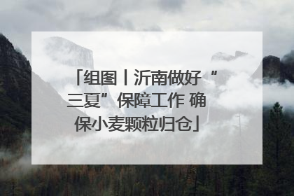 组图丨沂南做好“三夏”保障工作 确保小麦颗粒归仓