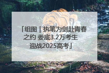 组图｜执笔为剑赴青春之约 娄底3.2万考生迎战2025高考