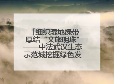 细织湿地绿带 厚结“文旅明珠”——中法武汉生态示范城挖掘绿色发展新动能