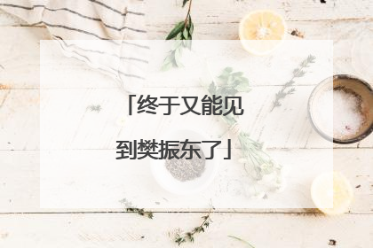 终于又能见到樊振东了