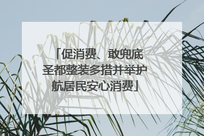 促消费、敢兜底 圣都整装多措并举护航居民安心消费