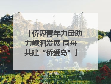 侨界青年力量助力嵊泗发展 同舟共建“侨爱岛”