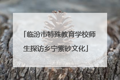 临汾市特殊教育学校师生探访乡宁紫砂文化
