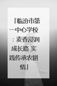 临汾市第一中心学校：麦香浸润成长路 实践传承农耕情