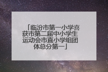 临汾市第一小学喜获市第二届中小学生运动会市直小学组团体总分第一