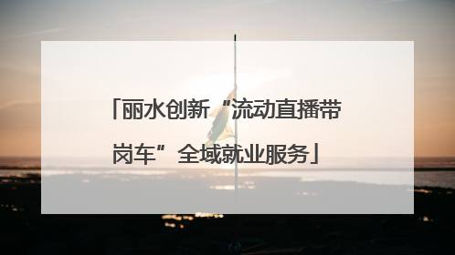 丽水创新“流动直播带岗车”全域就业服务