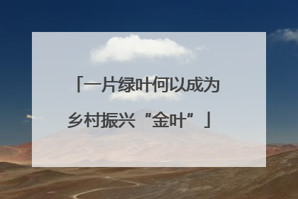 一片绿叶何以成为乡村振兴“金叶”