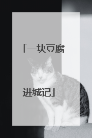 一块豆腐进城记