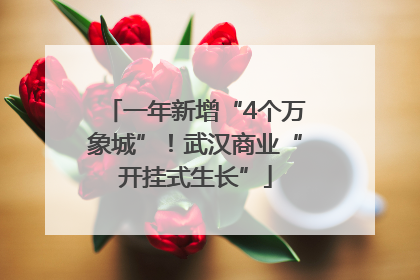 一年新增“4个万象城”！武汉商业“开挂式生长”