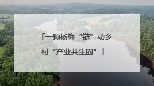 一颗杨梅“链”动乡村“产业共生圈”
