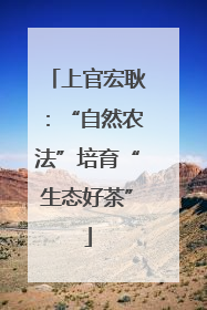 上官宏耿：“自然农法”培育“生态好茶”