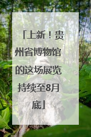 上新！贵州省博物馆的这场展览持续至8月底