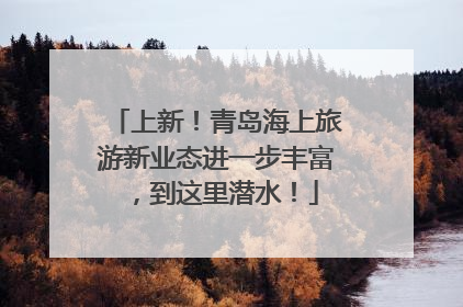 上新！青岛海上旅游新业态进一步丰富，到这里潜水！