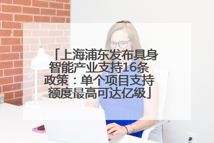 上海浦东发布具身智能产业支持16条政策：单个项目支持额度最高可达亿级