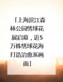上海滨江森林公园绣球花展启幕，近5万株绣球花海打造治愈系画面