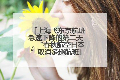 上海飞东京航班急速下降的第二天，“春秋航空日本”取消多趟航班