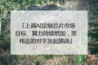 上调AI定制芯片市场目标、算力持续增加，英伟达的对手发起挑战