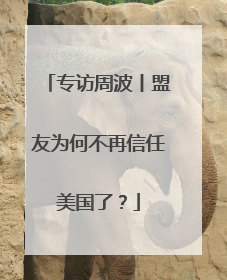 专访周波丨盟友为何不再信任美国了？