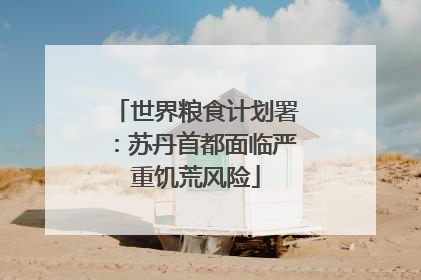 世界粮食计划署：苏丹首都面临严重饥荒风险