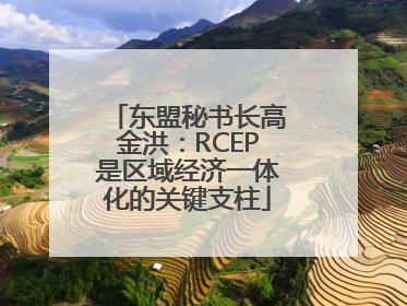 东盟秘书长高金洪：RCEP是区域经济一体化的关键支柱