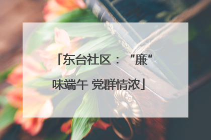 东台社区：“廉”味端午 党群情浓