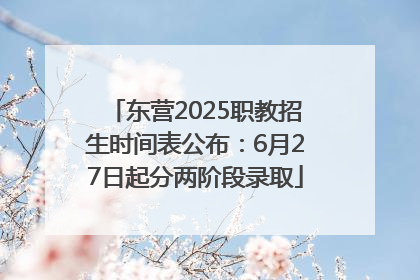 东营2025职教招生时间表公布：6月27日起分两阶段录取
