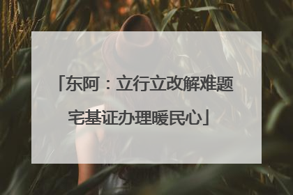 东阿：立行立改解难题 宅基证办理暖民心