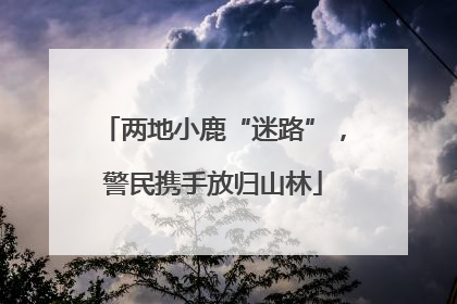 两地小鹿“迷路”，警民携手放归山林
