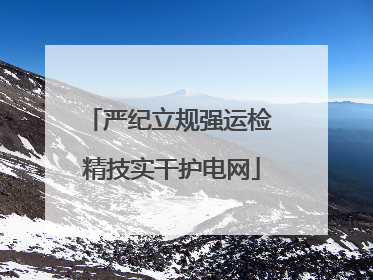严纪立规强运检 精技实干护电网