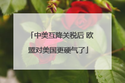 中美互降关税后 欧盟对美国更硬气了