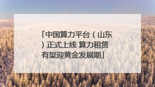 中国算力平台（山东）正式上线 算力租赁有望迎黄金发展期