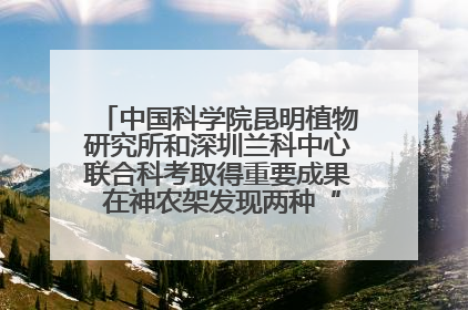中国科学院昆明植物研究所和深圳兰科中心联合科考取得重要成果 在神农架发现两种“国保”级兰花