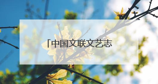 中国文联文艺志愿服务小分队走进海口骑楼老街