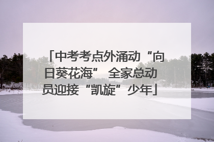 中考考点外涌动“向日葵花海” 全家总动员迎接“凯旋”少年