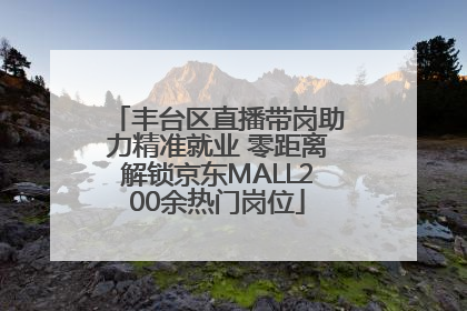 丰台区直播带岗助力精准就业 零距离解锁京东MALL200余热门岗位