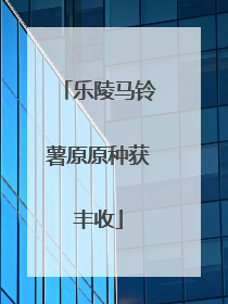 乐陵马铃薯原原种获丰收