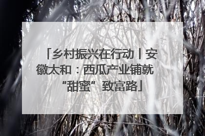 乡村振兴在行动丨安徽太和：西瓜产业铺就“甜蜜”致富路