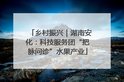 乡村振兴｜湖南安化：科技服务团“把脉问诊”水果产业