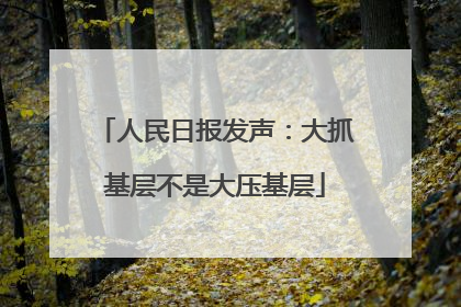 人民日报发声：大抓基层不是大压基层