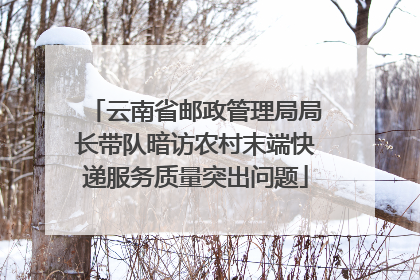 云南省邮政管理局局长带队暗访农村末端快递服务质量突出问题