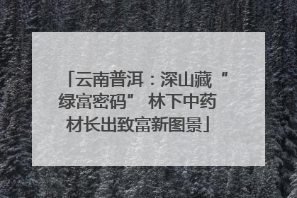云南普洱：深山藏“绿富密码” 林下中药材长出致富新图景