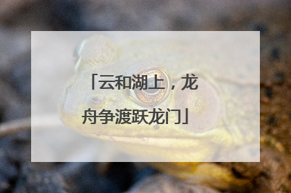 云和湖上，龙舟争渡跃龙门