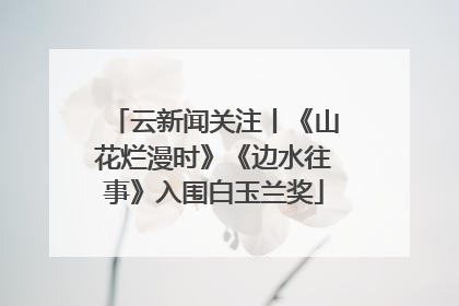 云新闻关注丨《山花烂漫时》《边水往事》入围白玉兰奖