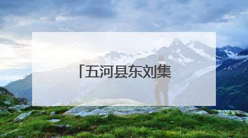 五河县东刘集镇乡村振兴添“金羽” “鸽”声叫响致富路
